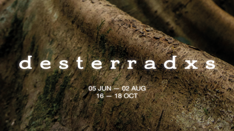 desterradxs 05.june - 02. august, plus 16. - 18 October, a picture of a big tree root in the background